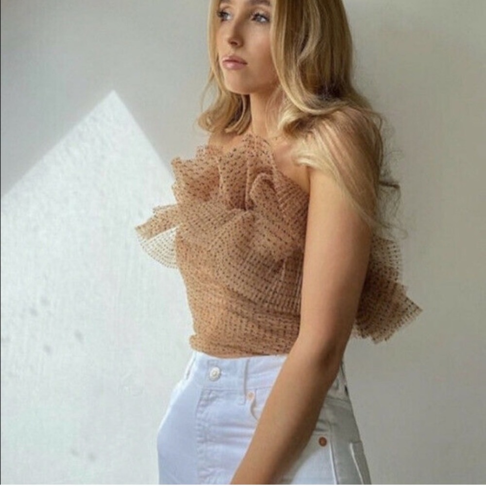 NWT Zara Polka Dot Taille Tully Mesh Ruffle Crop Top XS